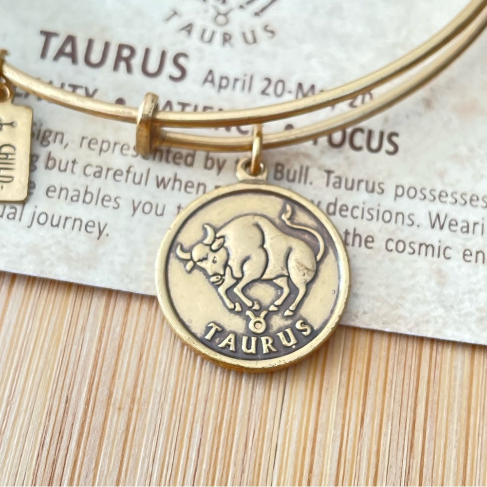 Taurus Wind and fire, the art of Eco sustainable jewelry, reclaimed bracelet - Picture 6 of 9